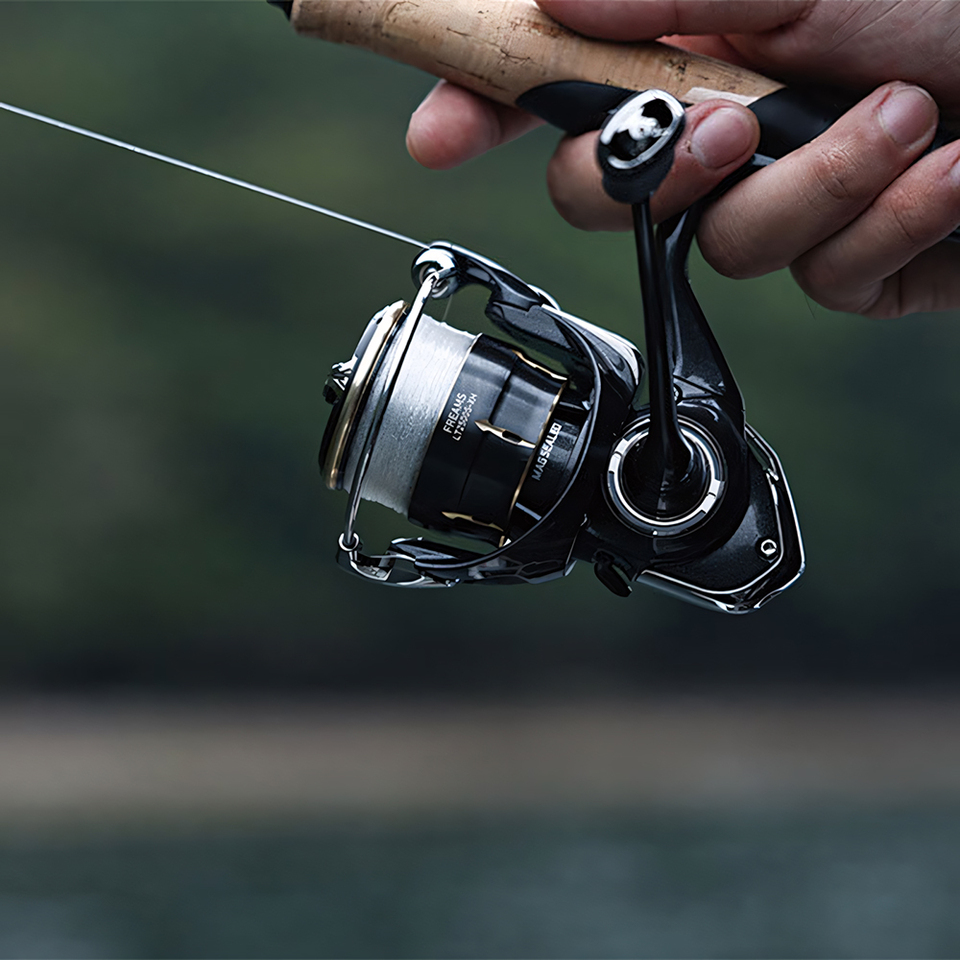 Moulinet Spinning DAIWA 2026 F - Fishing Equipment Daiwa avis et prix