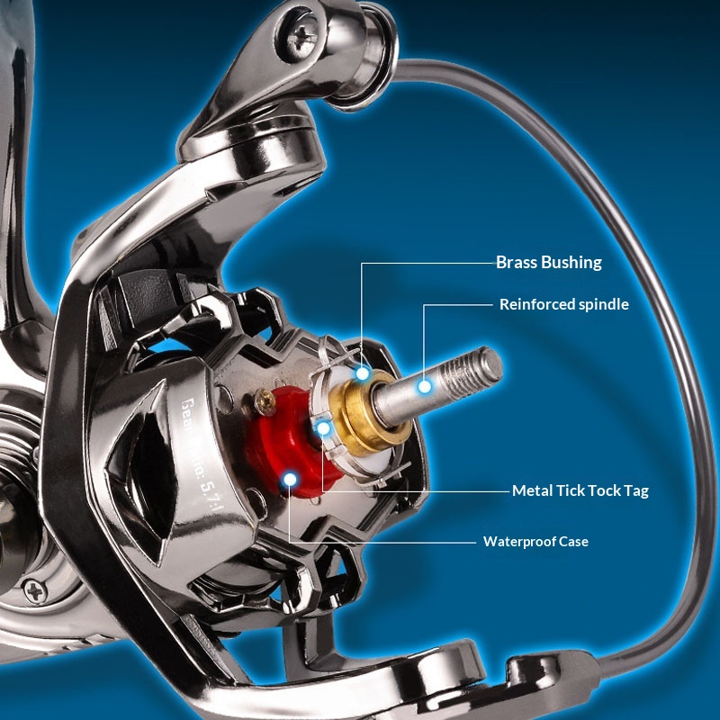 Moulinet spinning CMAN DK3000, - Fishing Equipment Daiwa avis et prix
